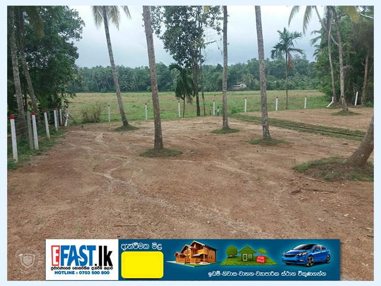 LAND | FOR SALE | KIRILLAWALA